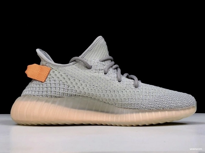 Form EG7492 Yeezy True V2 Boost 350 Adidas 1004